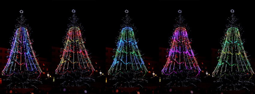 ChristmasTree.jpg